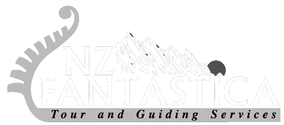 NZ-fantastica-Logo+FINAL